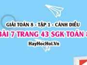Giải bài 7 trang 43 Toán 8 Tập 1 SGK Cánh Diều
